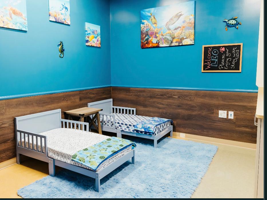 Photo of Pawtriotic Pet Hotel, LLC